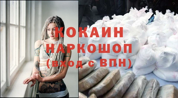 ешки Белокуриха