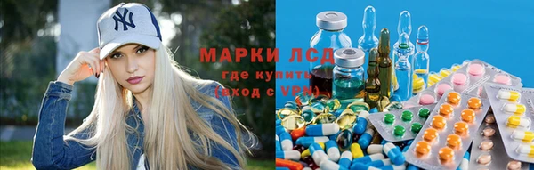 ешки Белокуриха