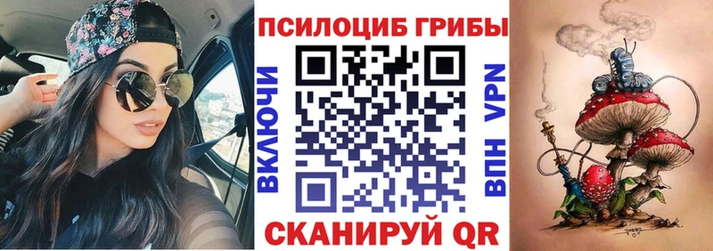 дарнет шоп  Дубна  Псилоцибиновые грибы мухоморы 